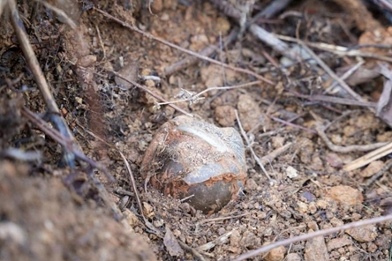 Three cluster bombs safely detonated in Quang Tri